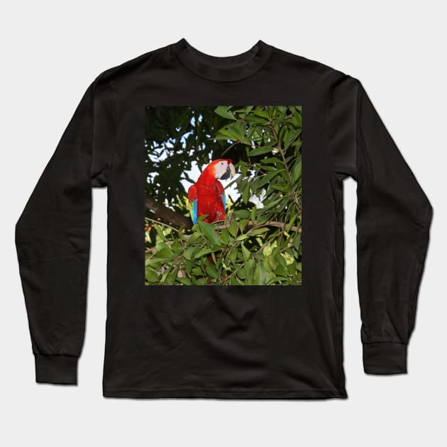 Scarlet Macaw Long Sleeve T-Shirt by Carole-Anne